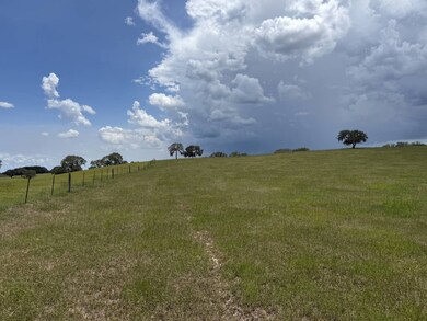 01 W Highway 328, Dunnellon, FL 34432 - photo 5