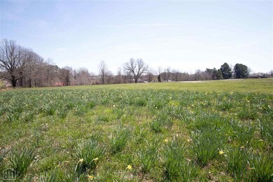 0 Bella Ridge Subdivision unit 10080581, Jonesboro, AR 72401 - photo 3