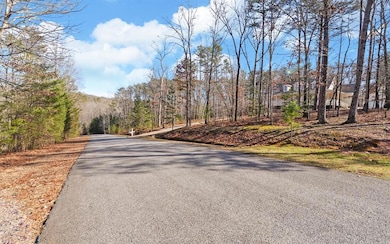 0 Twin Fawns Trail unit 7686572, Dahlonega, GA 30533 - photo 4