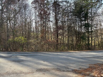 Lot 6 Blue Byrd Ln, Kodak, TN 37764 - photo 6