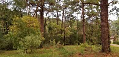 125 Springhill Rd, Laurel, MS 39443 - photo 7