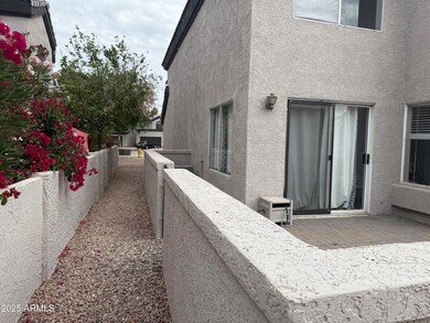 Backyard Patio-1