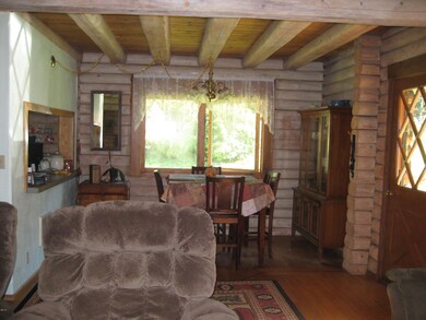Living Room into Dining Roomg