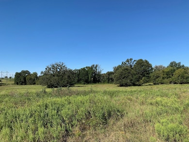 133 ac Hwy 39, Normangee, TX 77871 - photo 7