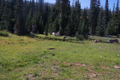 1002 E Ridge Top Dr unit CBMHS unit B b-B lot, Brian Head, UT 84719 - photo 2