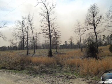 0 Ladybug Way unit 121146, Royal, AR 71968 - photo 2