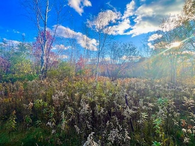 Lot 2 County Rd Q, Forest Township, WI 54005 - photo 3