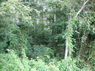 000 Golansville Rd, Caroline, VA 22546 - photo 3