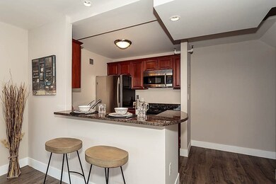 Parris Landing unit 5519, Charlestown, MA 02129 - photo 6