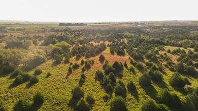 00 Blue Stem Rd, Sharon, KS 67138 - photo 4