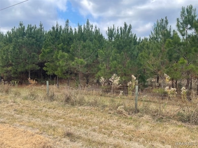 Front of Property - Angle - frontage on Coosada Rd