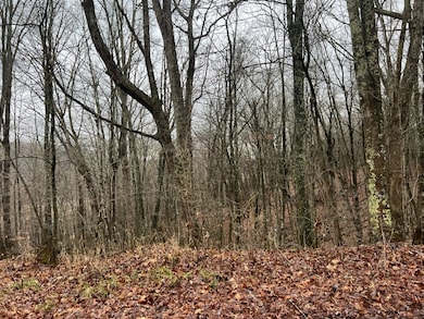 0 Wildcat Hill Rd unit 83419, Gap Mills, WV 24941 - photo 5