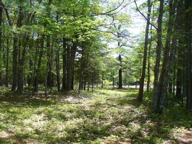 Land.
