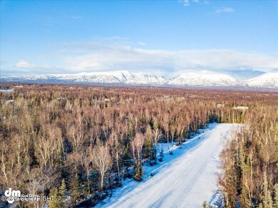 04-Aerial Elevated DJI_0024JWK