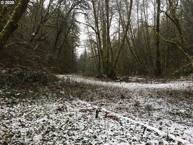 0 Beaver Creek Rd, Sheridan, OR 97378 - photo 5