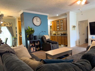 Living room with carpet flooring, crown molding, a