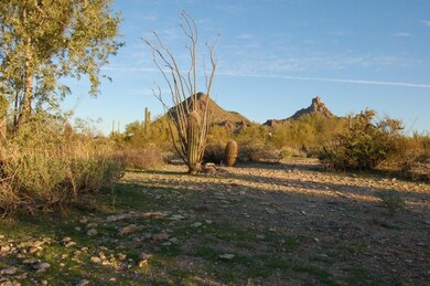 View North to Pinnacle Peak