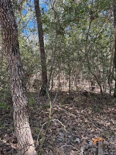 Lot 195 Kaelepulu Dr, Bastrop, TX 78602 - photo 3
