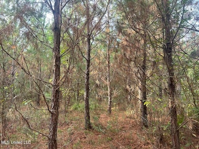 TBD River Rd N, Summit, MS 39666 - photo 3