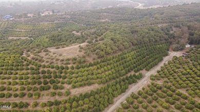 7-web-or-mls-Upmarketmedia_Donlon-22