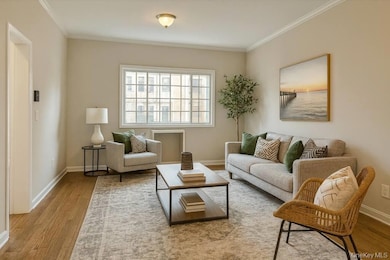 1333 Chisholm St, Bronx, NY 10459 - photo 3