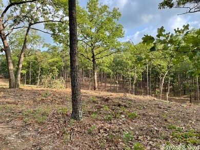 00 Empy Trail Lot 1, Conway, AR 72034 - photo 4