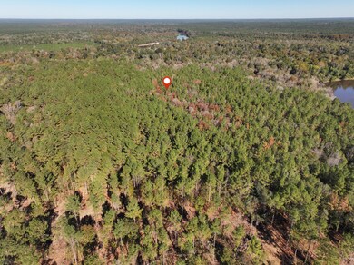 Old_Hwy_24_W_Lot_31-5