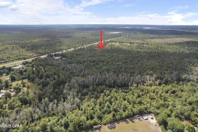 0000 Hwy 231 Hwy, Panama City, FL 32404 - photo 3