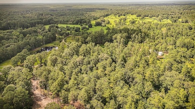 tbd County Road 1520, Warren, TX 77664 - photo 6