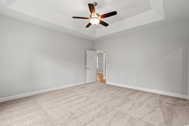 Spare room with a raised ceiling, light carpet, and ceiling fan