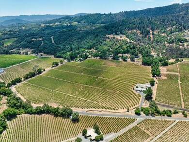 Aerial view of the Vineyard against the Western hills.
