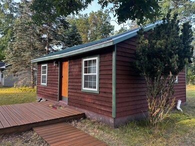 3743 N Peacock Trail, Irons, MI 49644 - photo 2