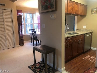 1907 Stoney Run Cir unit 1907, Broadview Heights, OH 44147 - photo 7