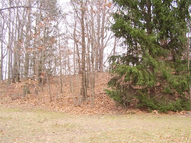 7781 W Hagar Shore Rd, Coloma, MI 49038 - photo 6