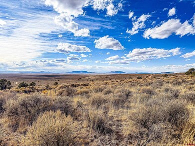 0 Cavalry Trail unit 826006, San Luis, CO 81152 - photo 5