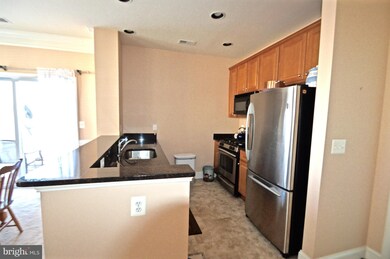 12828 Clarksburg Square Rd unit 203, Clarksburg, MD 20871 - photo 7
