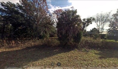 Lot 2 SW Yazoo Ct, Dunnellon, FL 34431 - photo 3
