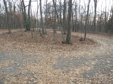 112 Woodledge Hills Dr, Hawley, PA 18428 - photo 4