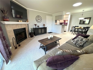 4676 White Rock Cir unit 12, Boulder, CO 80301 - photo 6