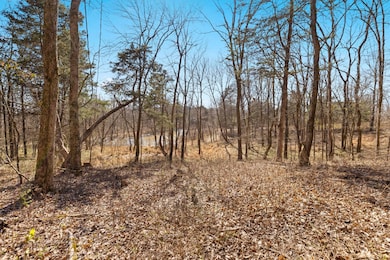 0 Chipman Rd, Bethpage, TN 37022 - photo 6