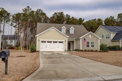 411 Canvasback Ln Sneads Ferry-large-002