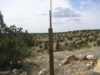 Swenson 40 acres 007.JPG