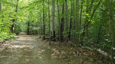 00 Nh Route 16a, Bartlett, NH 03845 - photo 5