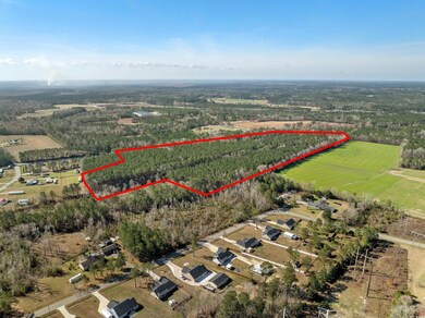TBD - Lot 1 Daphane Dr unit Lot 1, Loris, SC 29569 - photo 4