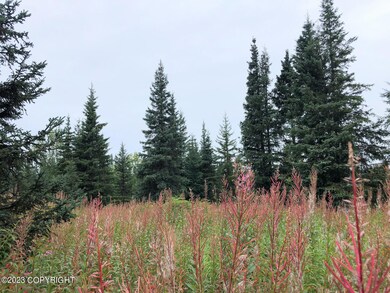 W2 Alaskan Wildwood Ranch(r), Nikolaevsk, AK 99556 - photo 2