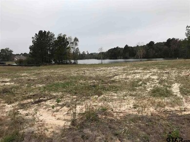 10908 Deer Creek Dr, Tyler, TX 75707 - photo 4