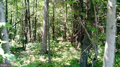 0 Hubbards Rd unit 1005207507, Elkwood, VA 22718 - photo 4