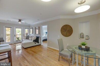 Dominion Heights unit 304, Arlington, VA 22207 - photo 7