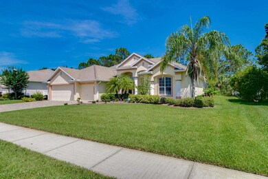 Tropical Landscaping