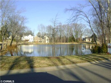View - The community pond!